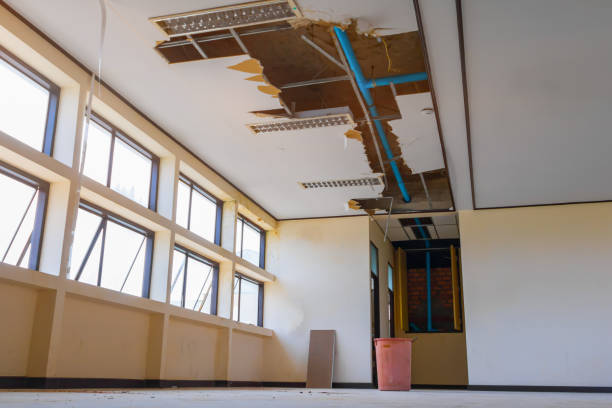 Best Water damage restoration specialists  in Towson, MD