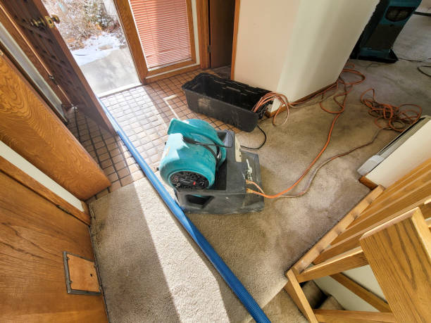 Best Residential water damage restoration  in Towson, MD