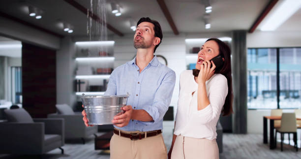 Best Commercial water damage restoration  in Towson, MD